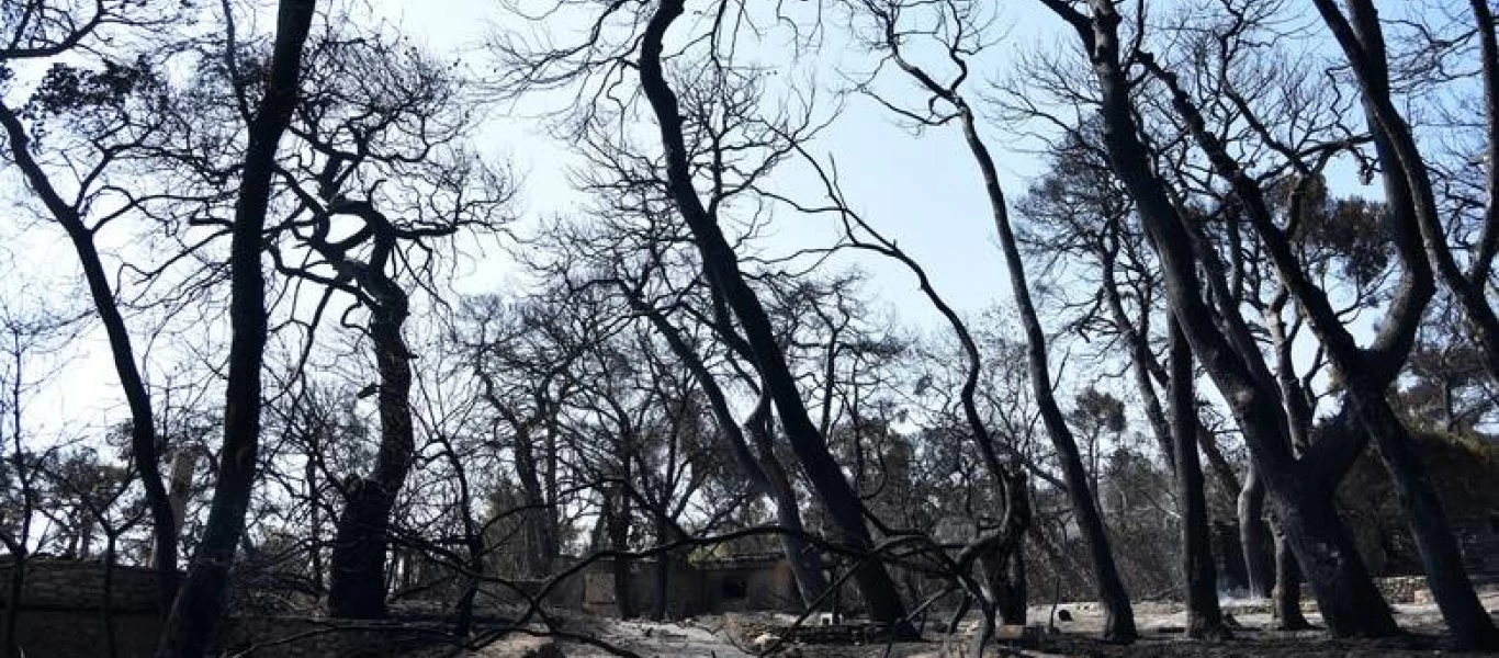 Τραγικός ο μέχρι στιγμής απολογισμός της κυβερνητικής ανικανότητας: Πάνω από 270.000 καμένα στρέμματα σε Αττική & Εύβοια